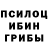 Псилоцибиновые грибы GOLDEN TEACHER SaRa ELF