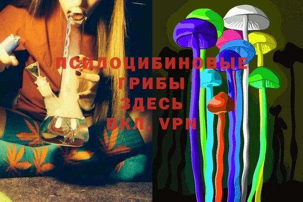 хмурый Балабаново
