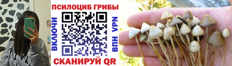 наркота  Озёры  Псилоцибиновые грибы Magic Shrooms 